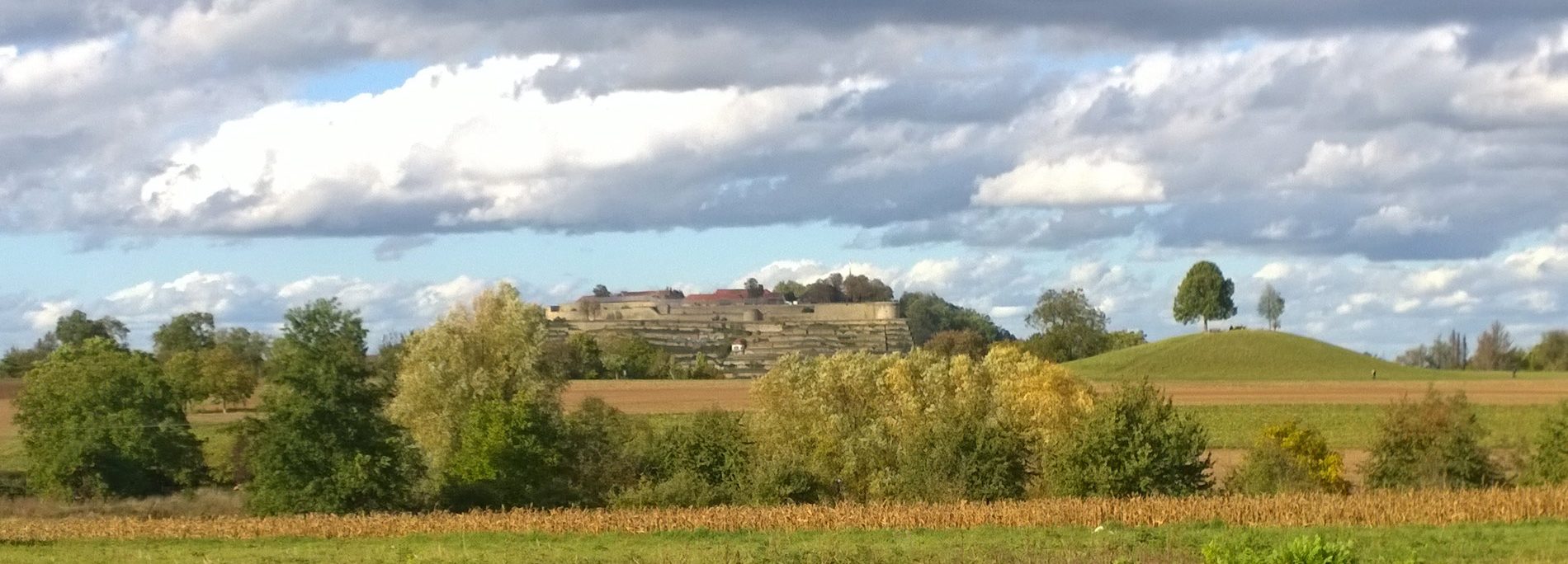 Asperg